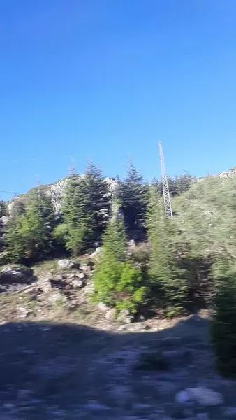 Antalya Şehi̇r Hastanesi̇ - Photo 8