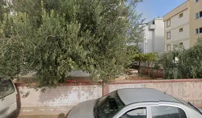 Antalyadamezarci - Photo 1