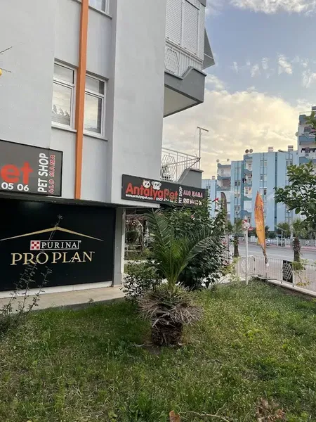 Antalyapet Hurma Şubesi - Photo 5