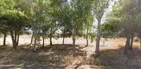 Antas Enerji - Photo 2