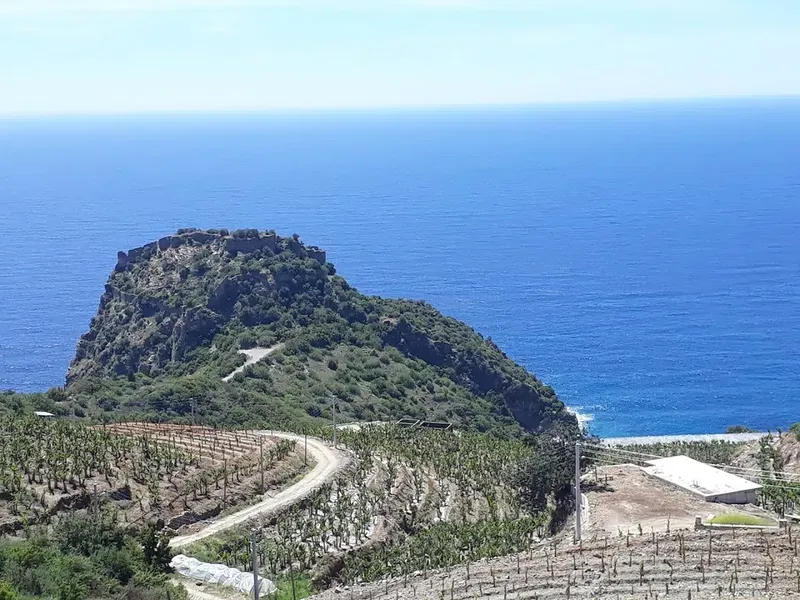 Antiochia ad Cragum - Photo 3