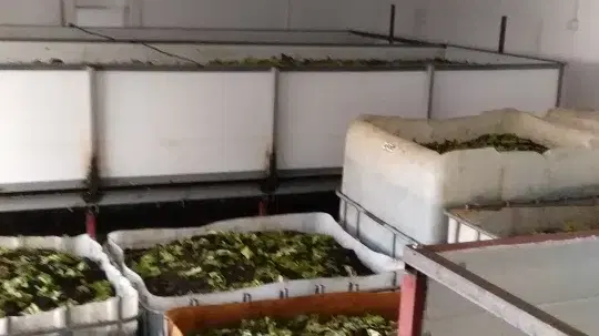 Antsol Antalya Solucan Gübresi