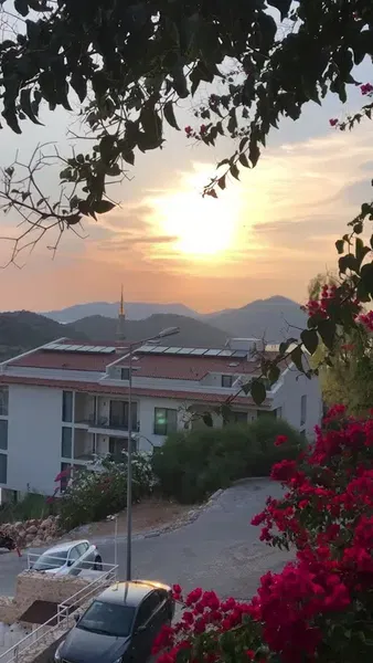 Aphrodite Pension - Photo 8