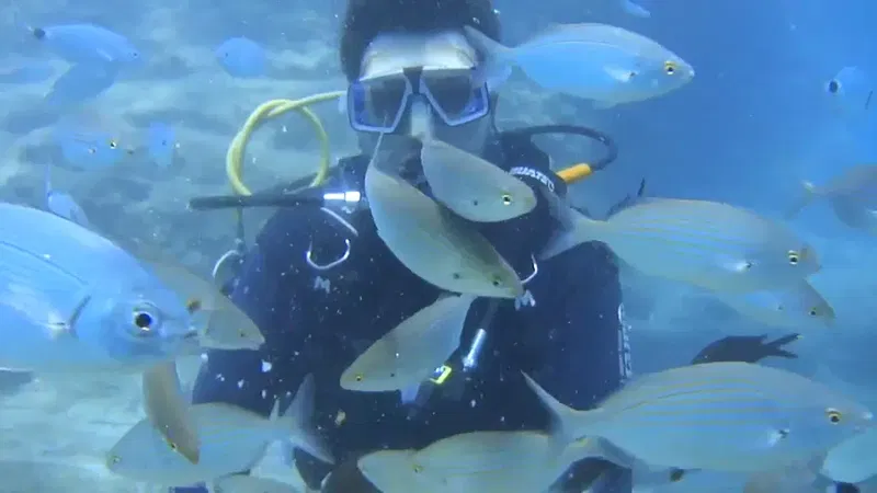 Aqua Age Diving Center - Photo 2