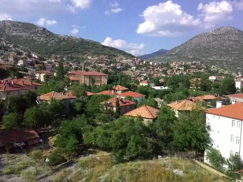 Arap Astı Kestanesi Anıt Ağacı - Photo 4