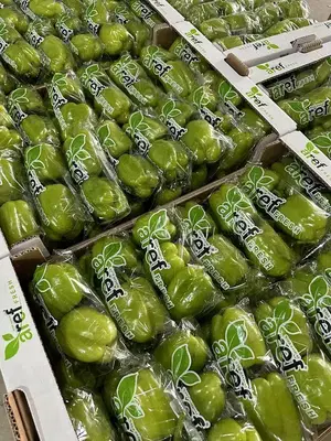 Aref Fresh Yaş Meyve Sebze Tarim Ürünleri̇ San. Ve Ti̇c. Ltd. Şti̇.