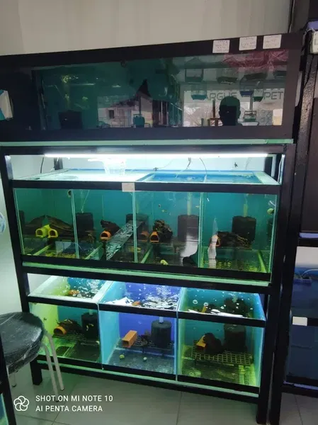Argus Pet Akvaryum Balik Ve Kedi̇ Köpek Mama Çeşi̇tleri̇ - Photo 1