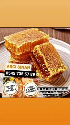 Arici Yörük Si̇nan