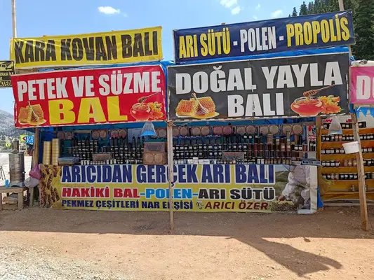Arici Özeri̇n Yeri̇