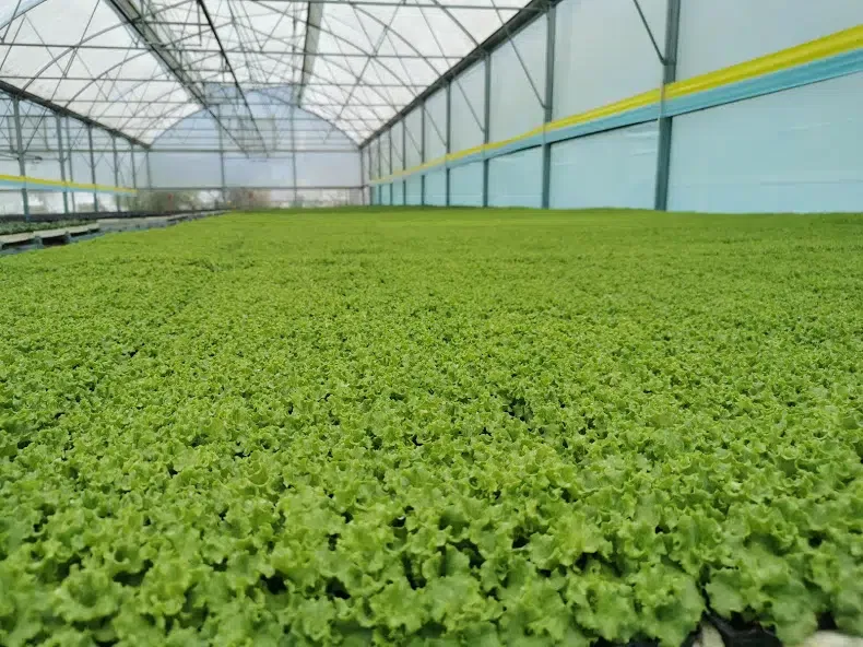 Arif Güvenç Tarim Ltd.Şti. - Photo 7
