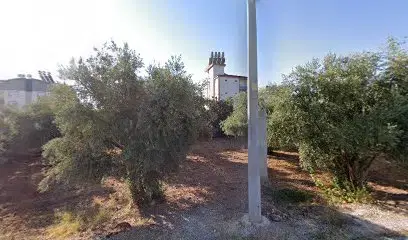 Arikan Çi̇ftli̇ği̇