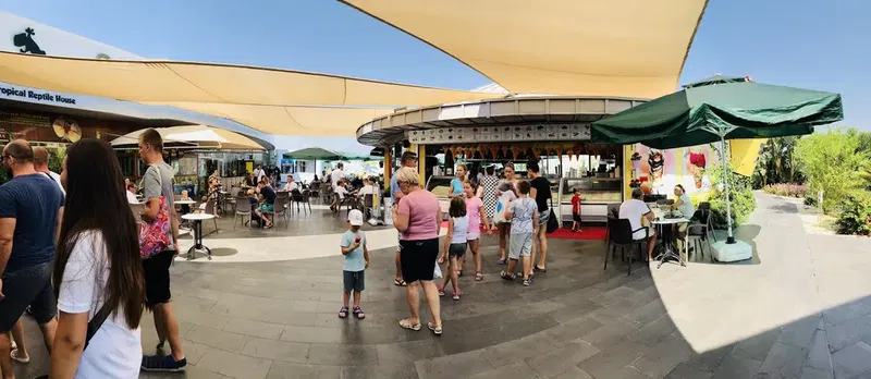 Artizan Gelato - Photo 6