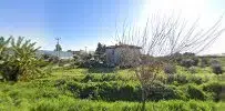 Arzı hanım çiftliği