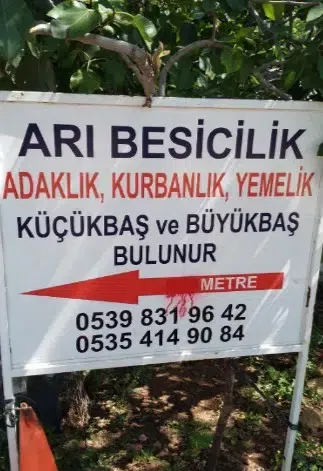 Arı Besicilik - Photo 6