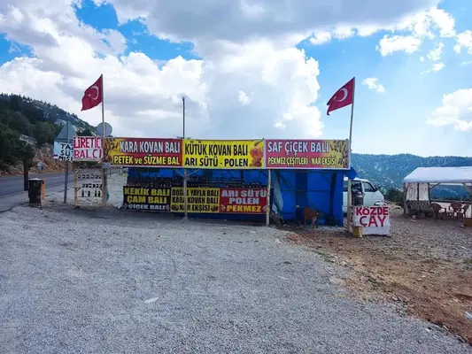 Arıcı Balcı Veli