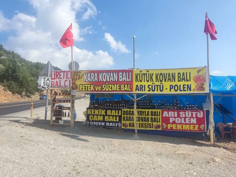 Arıcı Balcı Veli - Photo 3