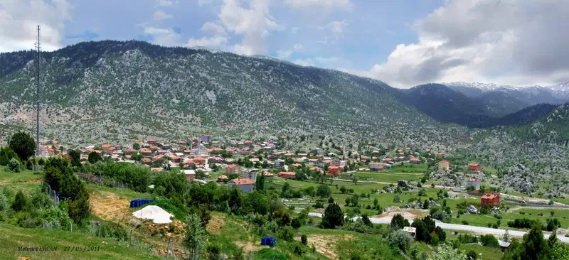 Arıcı Balcı Veli - Photo 4