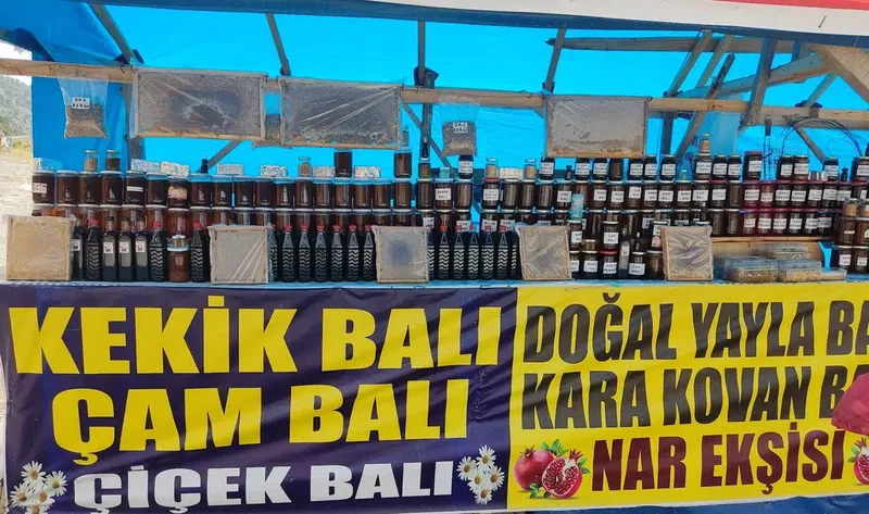 Arıcı Balcı Veli - Photo 5