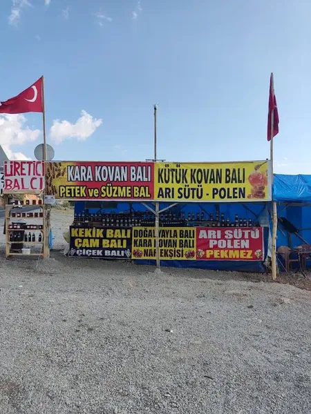 Arıcı Balcı Veli - Photo 7