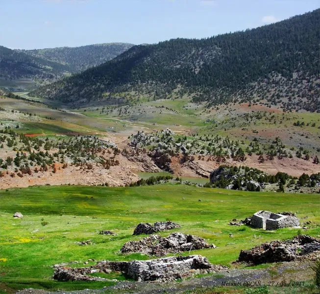 Arıcı Balcı Veli - Photo 10