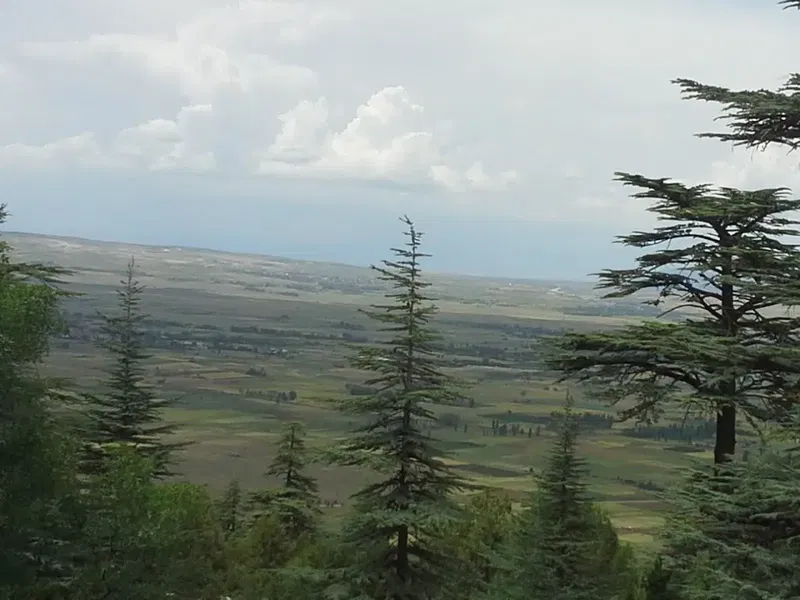 Arıcı Dogan - Photo 3