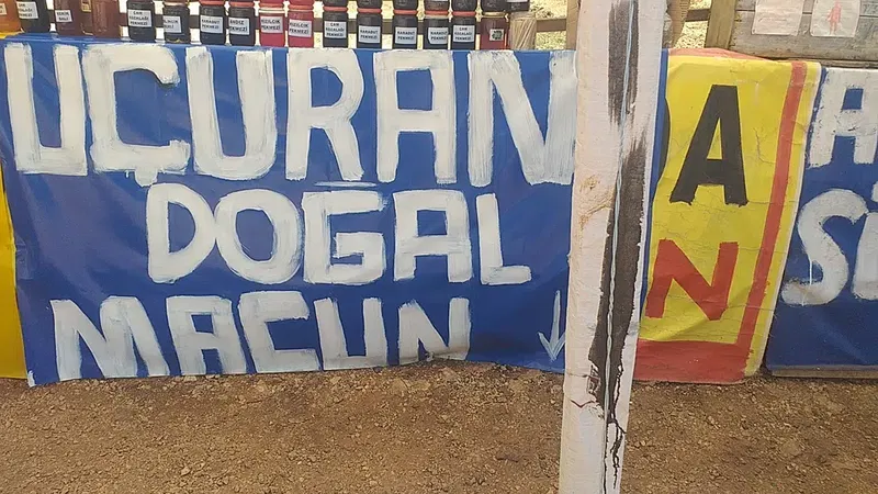 Arıcı Dogan - Photo 10