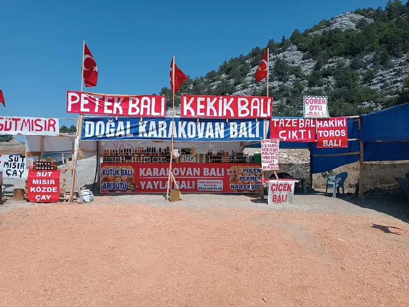 Arıcı kadir'in yeri - Photo 1