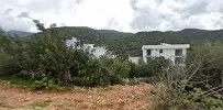 Arıkan Villa - Photo 3
