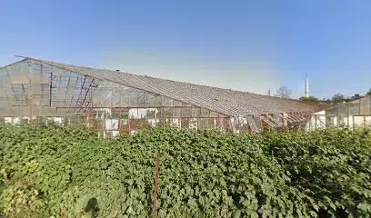 Asc Yapi
