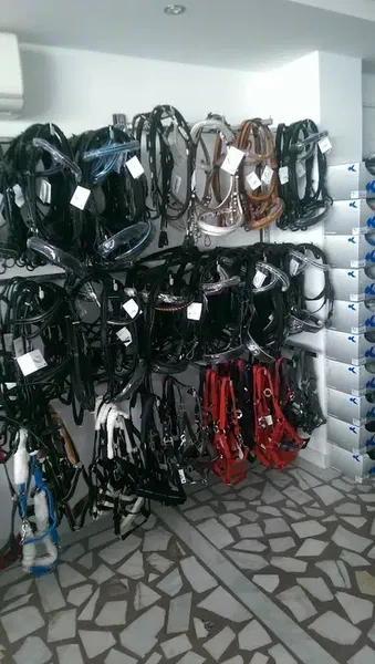 Asi At Ve Binicilik Malzemeleri - Photo 7
