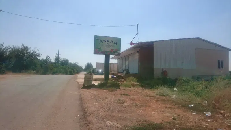 Askar Tarım - Photo 2