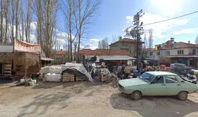 Aslan ticaret
