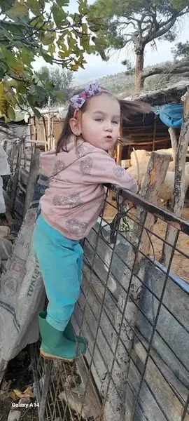 Ata Deniz çiftligi - Photo 5