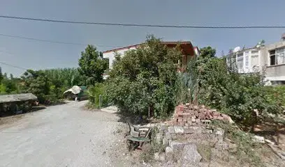 Atıcı sebze