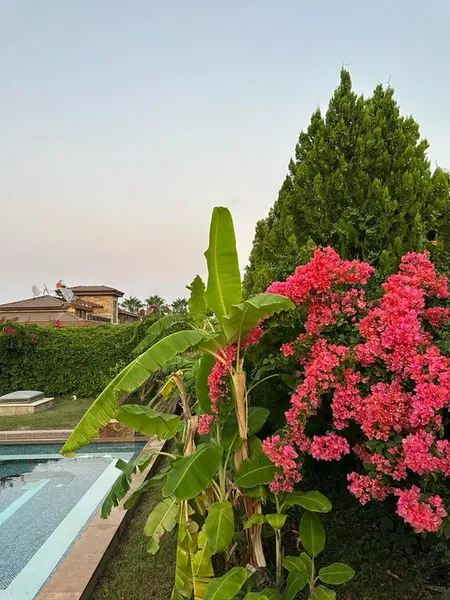 Aura Villas - Photo 9