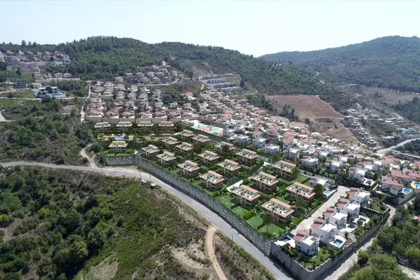 Avocado Village