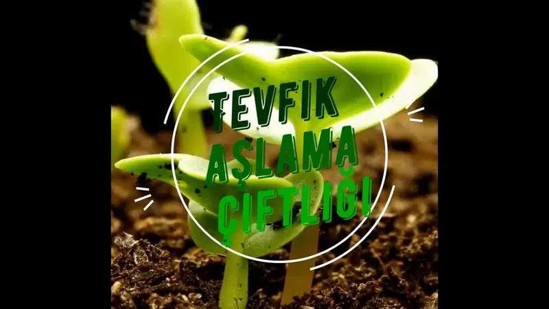 Avokadoye - avokadoye.com - Gazipaşa - Photo 7
