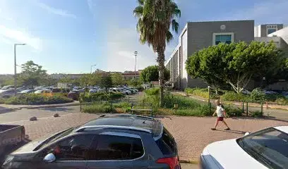 Avs oto vosvagen özel servis