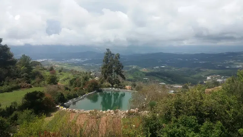 Avukatlık büro - Photo 2