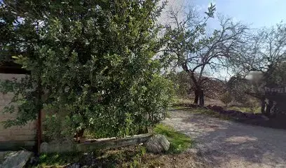 Aydinnalican8