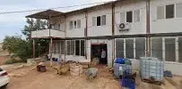 aydınlık Kuruçiçek üretim satış - Photo 1