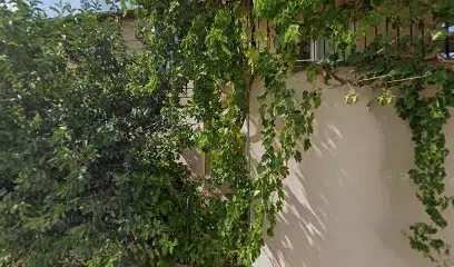 Aydınlık Mahallesi Muhtarlığı