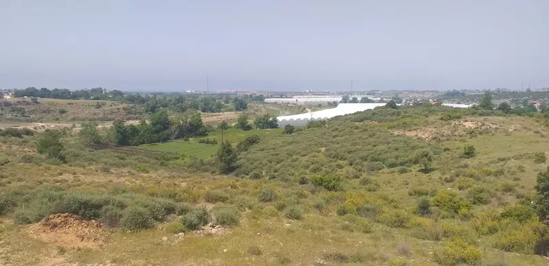 Aykul Çiftliği - Photo 2