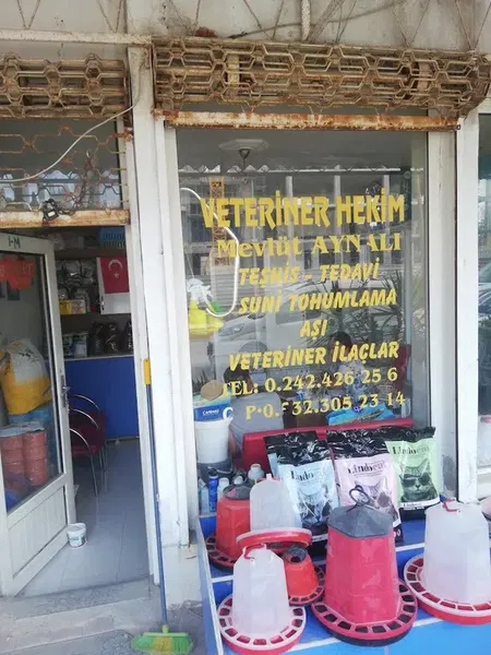 Aynalı Veteriner Kliniği - Photo 3