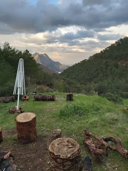 Ayıboğan Kampı - Photo 3