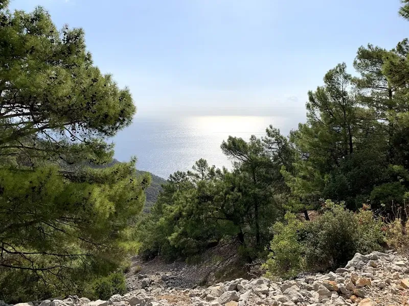Ayıboğan Kampı - Photo 4