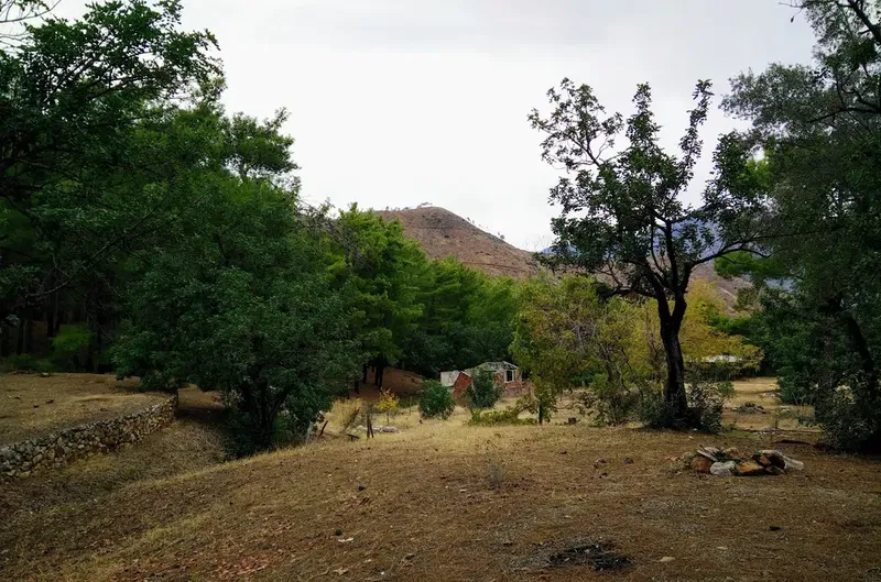 Ayıboğan Kampı - Photo 7