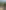 Azizzade Cami fotoğrafı