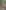 Azizzade Cami fotoğrafı