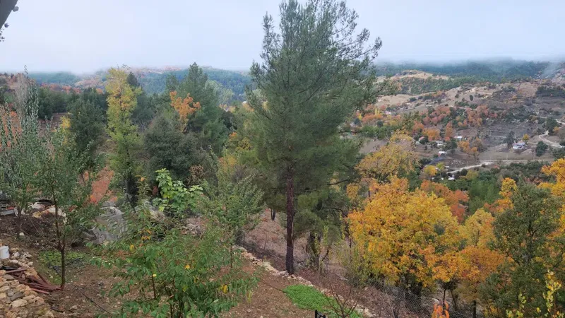 Azıtepe Dağevi - Photo 2